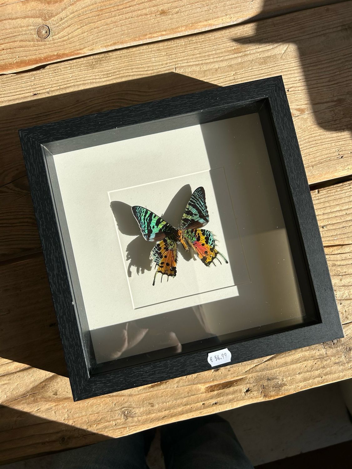 Vlinder in lijst (25x25cm) Vlinder in lijst (25x25cm)