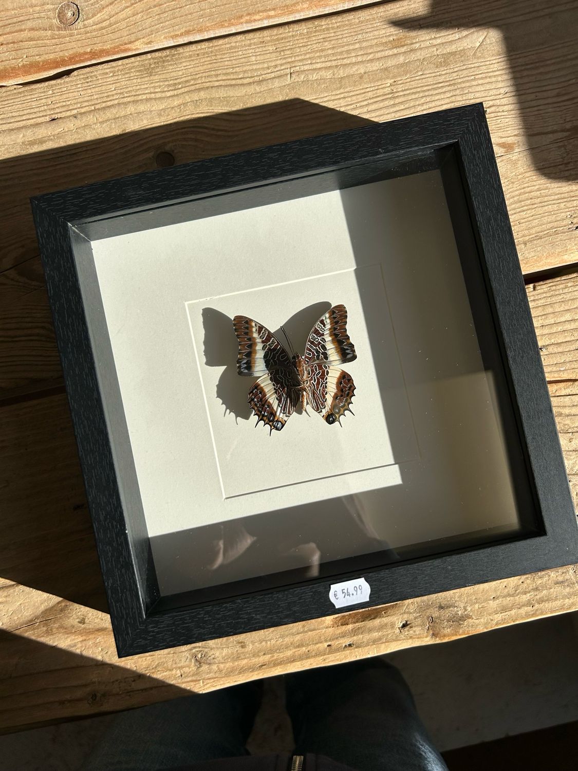 Vlinder in lijst (25x25cm) Vlinder in lijst (25x25cm)