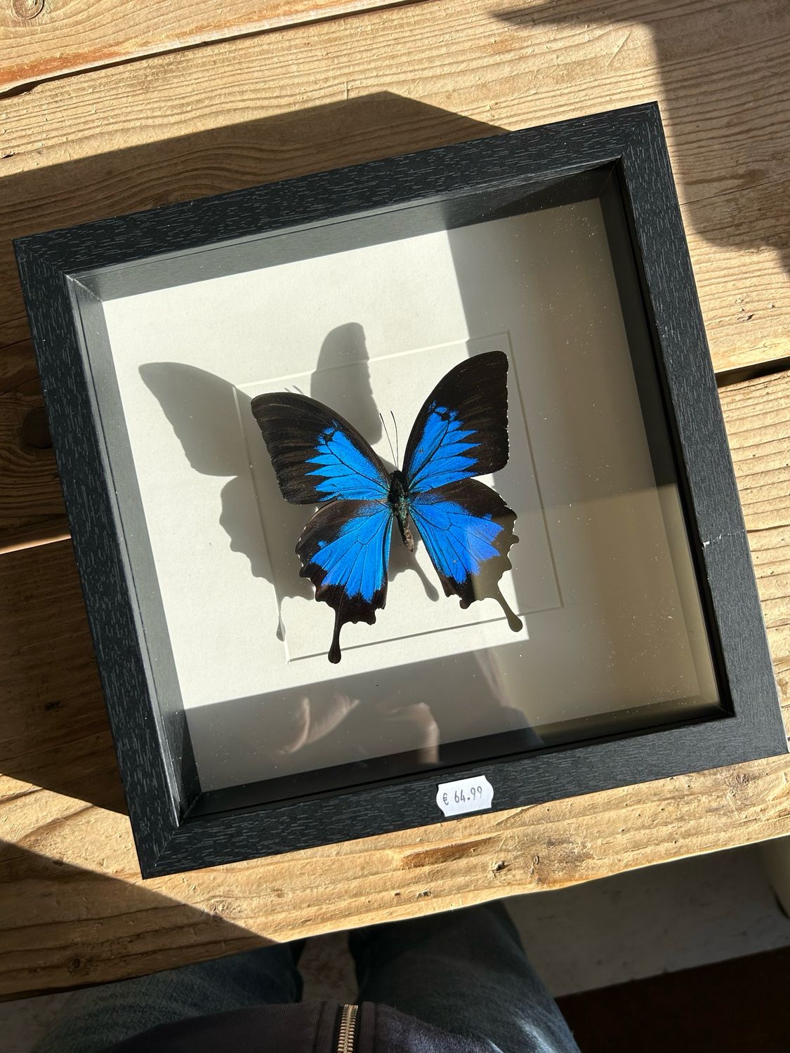 Vlinder in lijst (25x25cm) Vlinder in lijst (25x25cm)