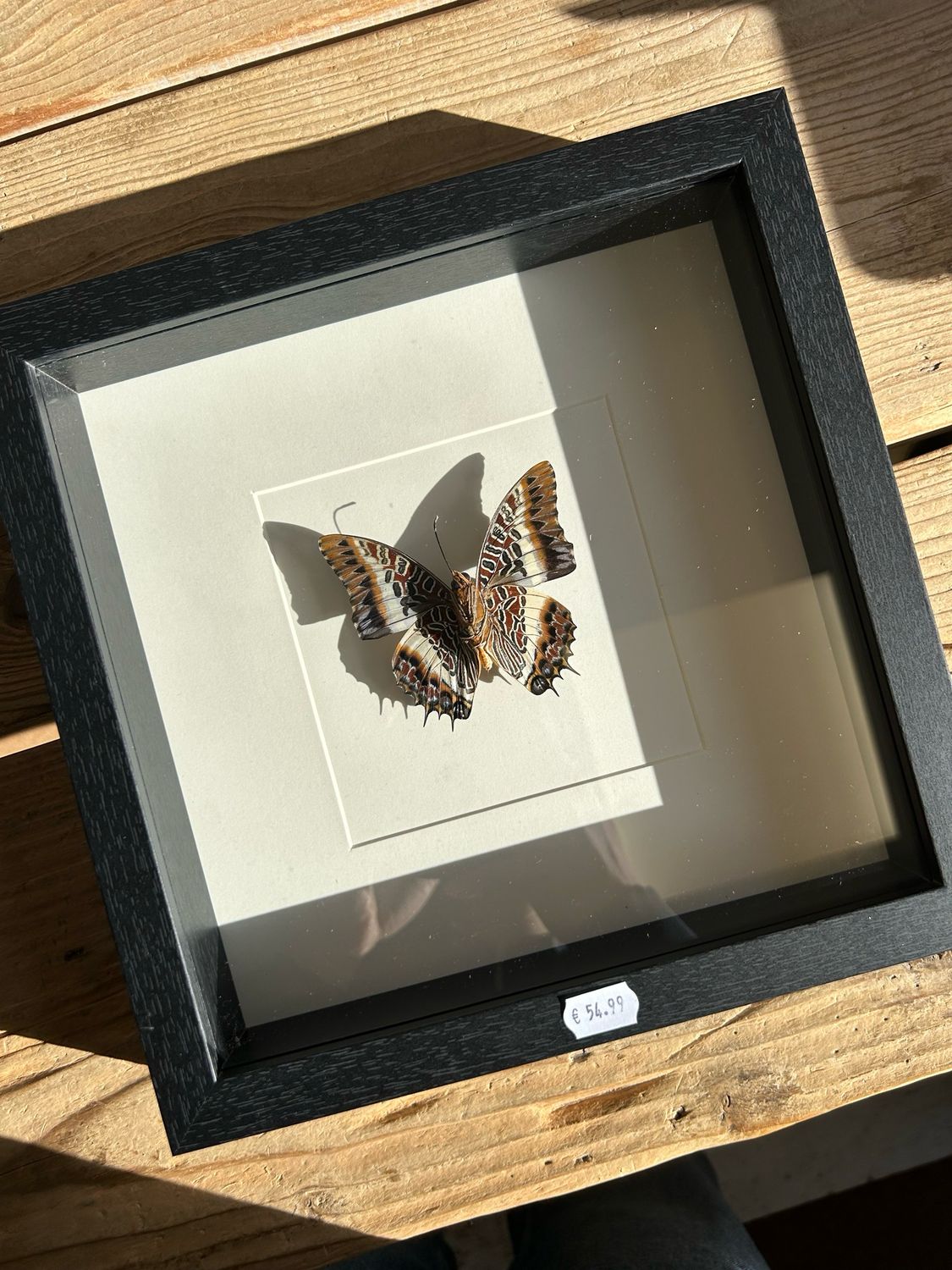 Vlinder in lijst (25x25cm) Vlinder in lijst (25x25cm)