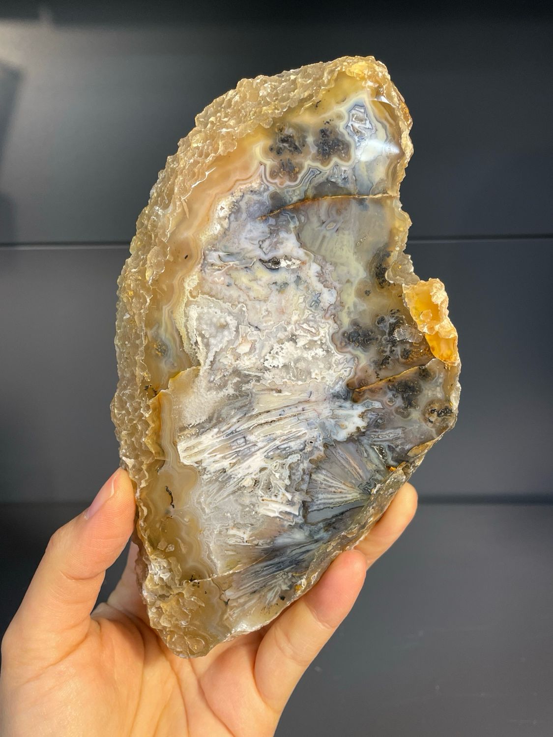 Agaat schijf Agaat schijf