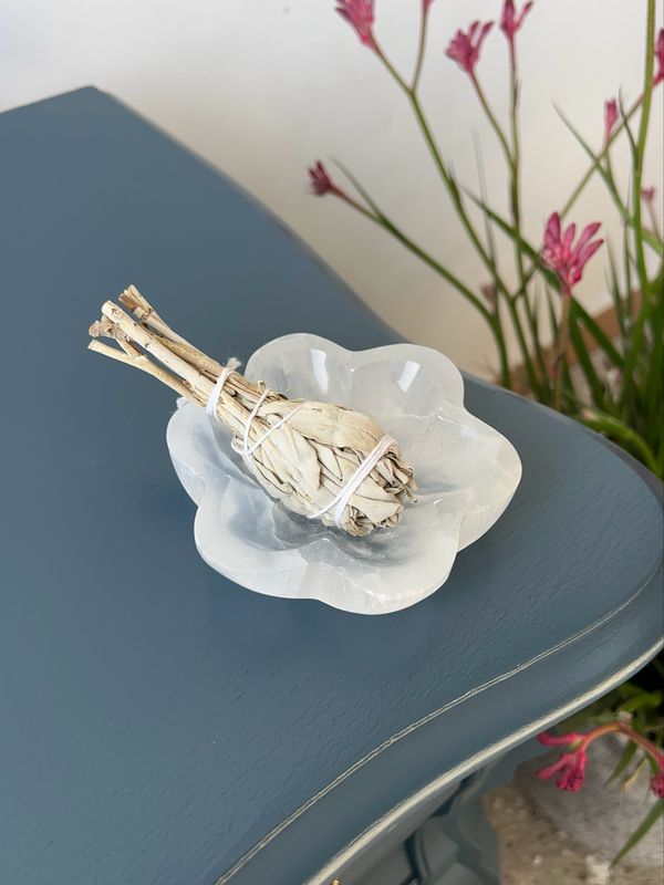 Seleniet schaaltje (bloem)