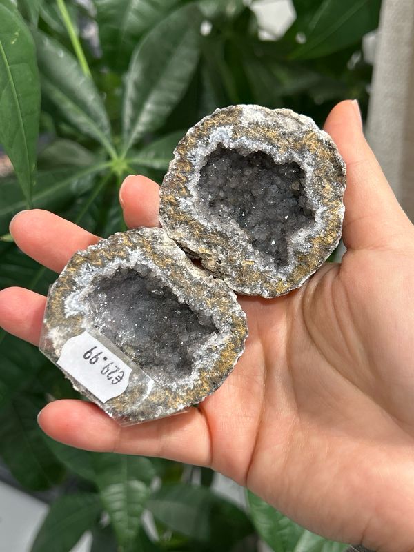 Voorgekraakte special Voorgekraakte special