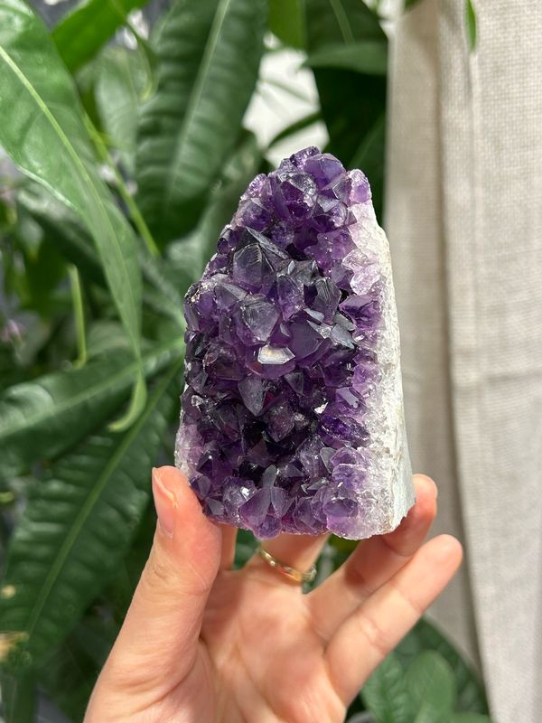 #21 Ruwe amethist staander (a kwaliteit)