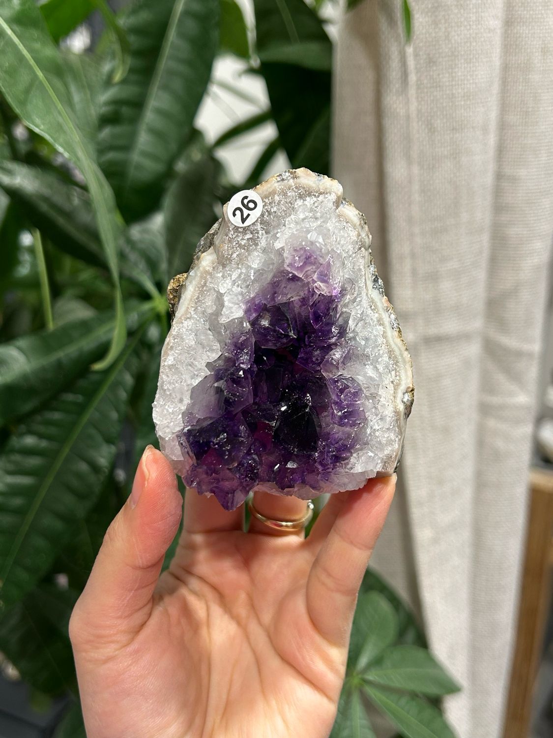 #26 Ruwe amethist staander (a kwaliteit) #26 Ruwe amethist staander (a kwaliteit)