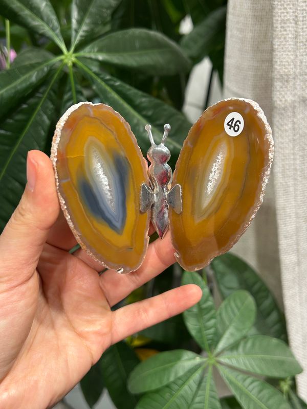 #46 Vlinder van agaat (OP=OP)