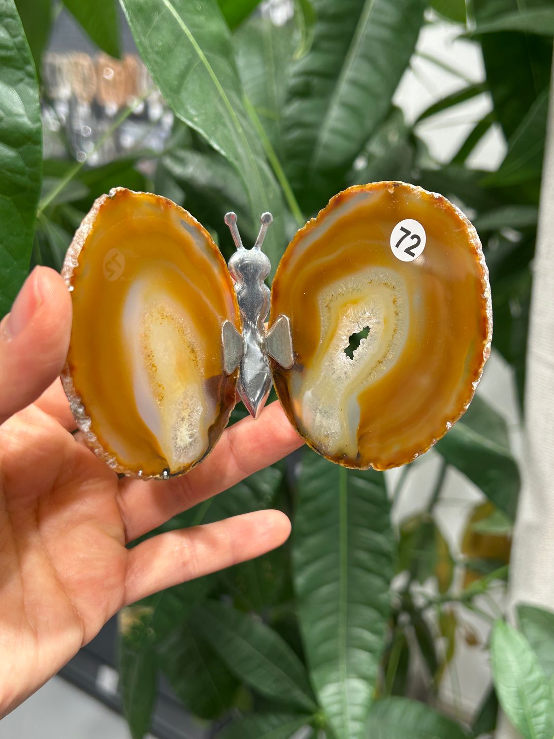 #72 Vlinder van agaat (OP=OP) #72 Vlinder van agaat (OP=OP)