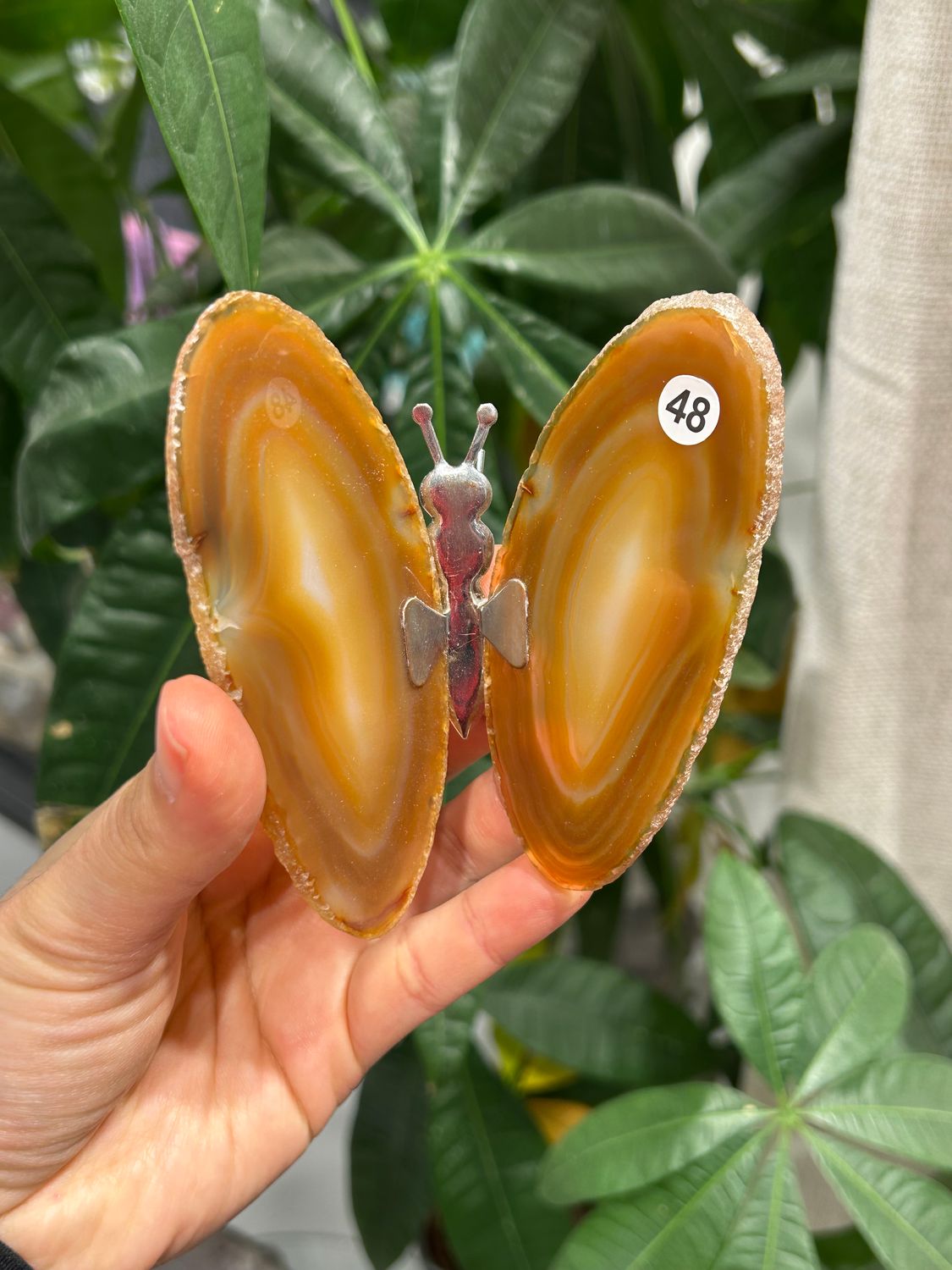 #48 Vlinder van agaat (OP=OP)