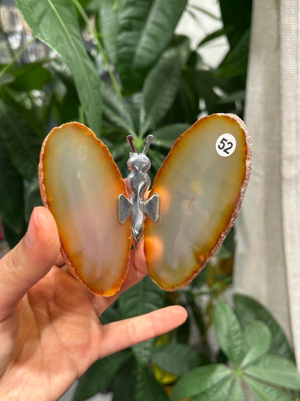 #52 Vlinder van agaat (OP=OP)