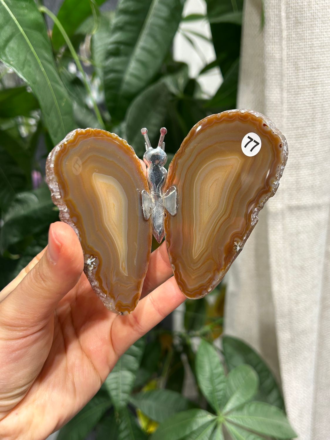 #77 Vlinder van agaat (OP=OP)