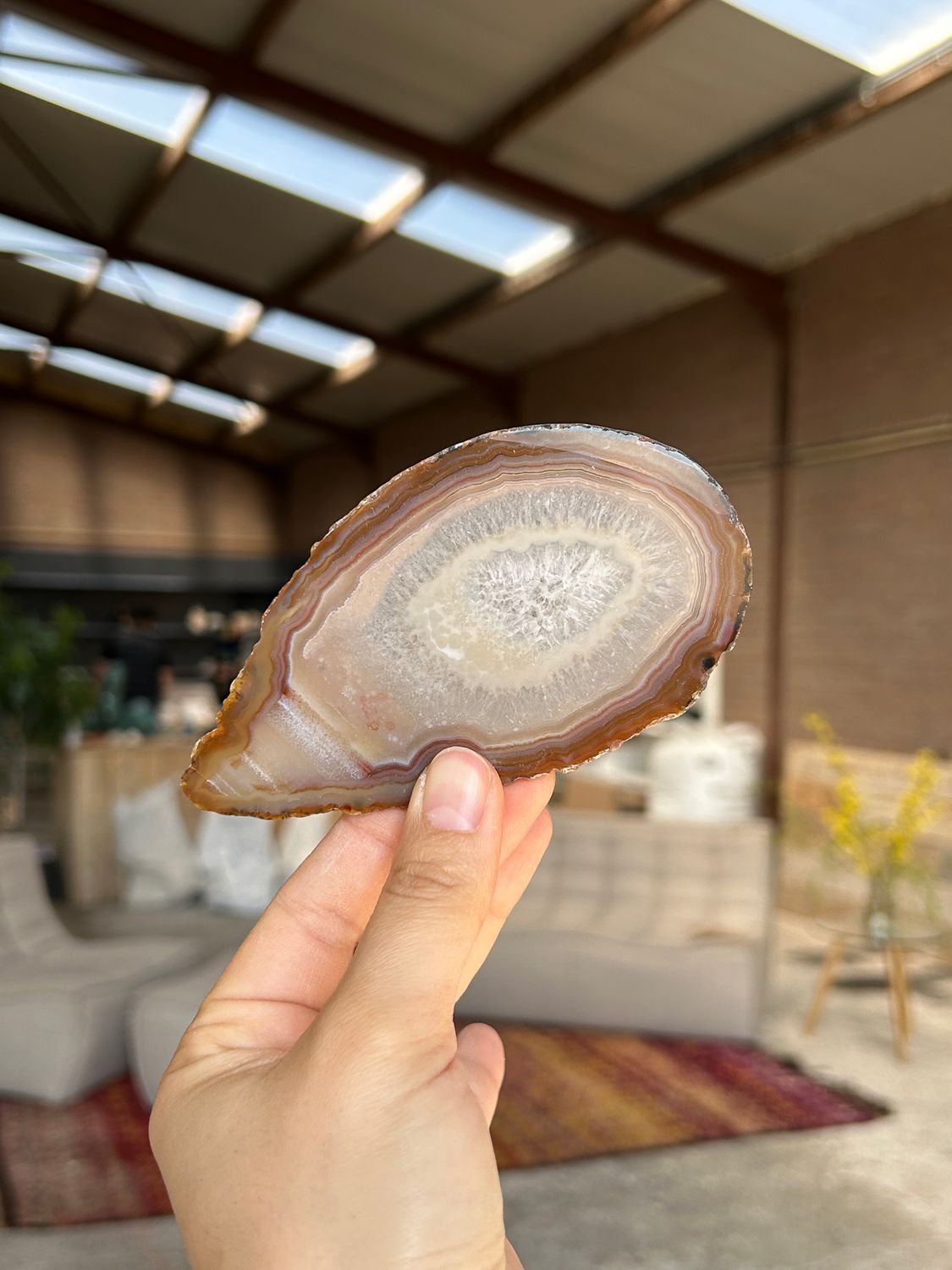 Agaat schijf Agaat schijf