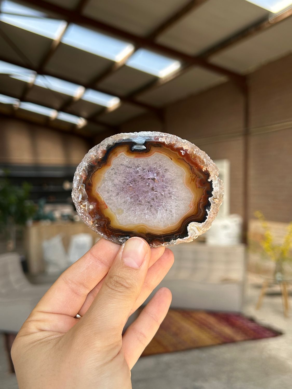 Agaat schijf Agaat schijf