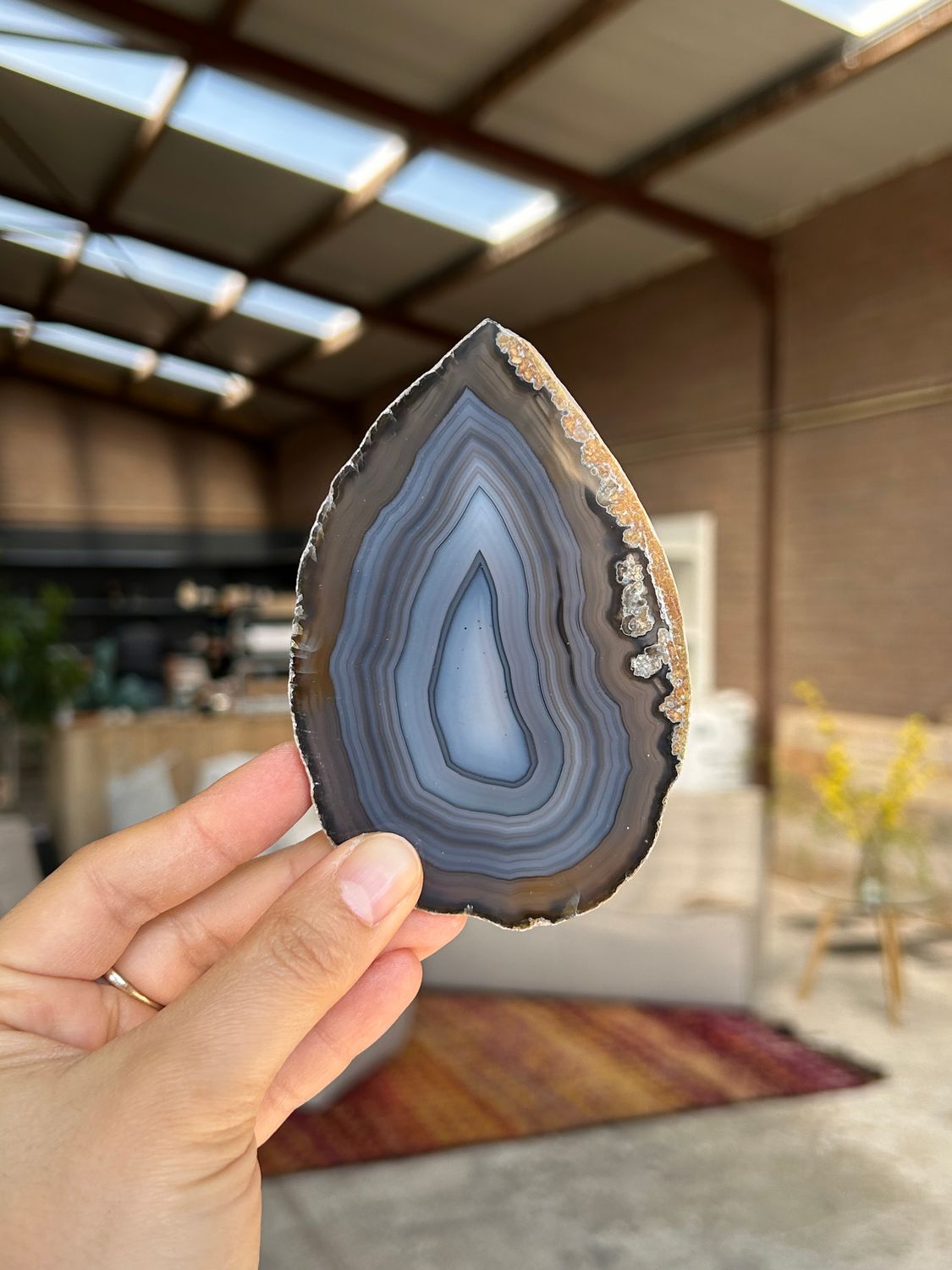 Agaat schijf Agaat schijf