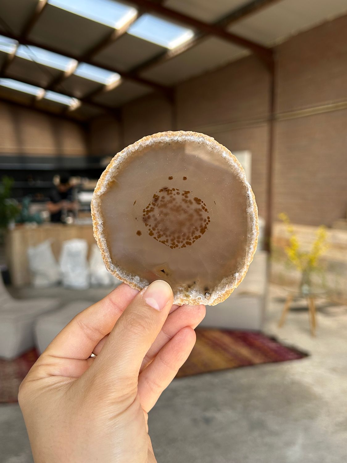 Agaat schijf Agaat schijf