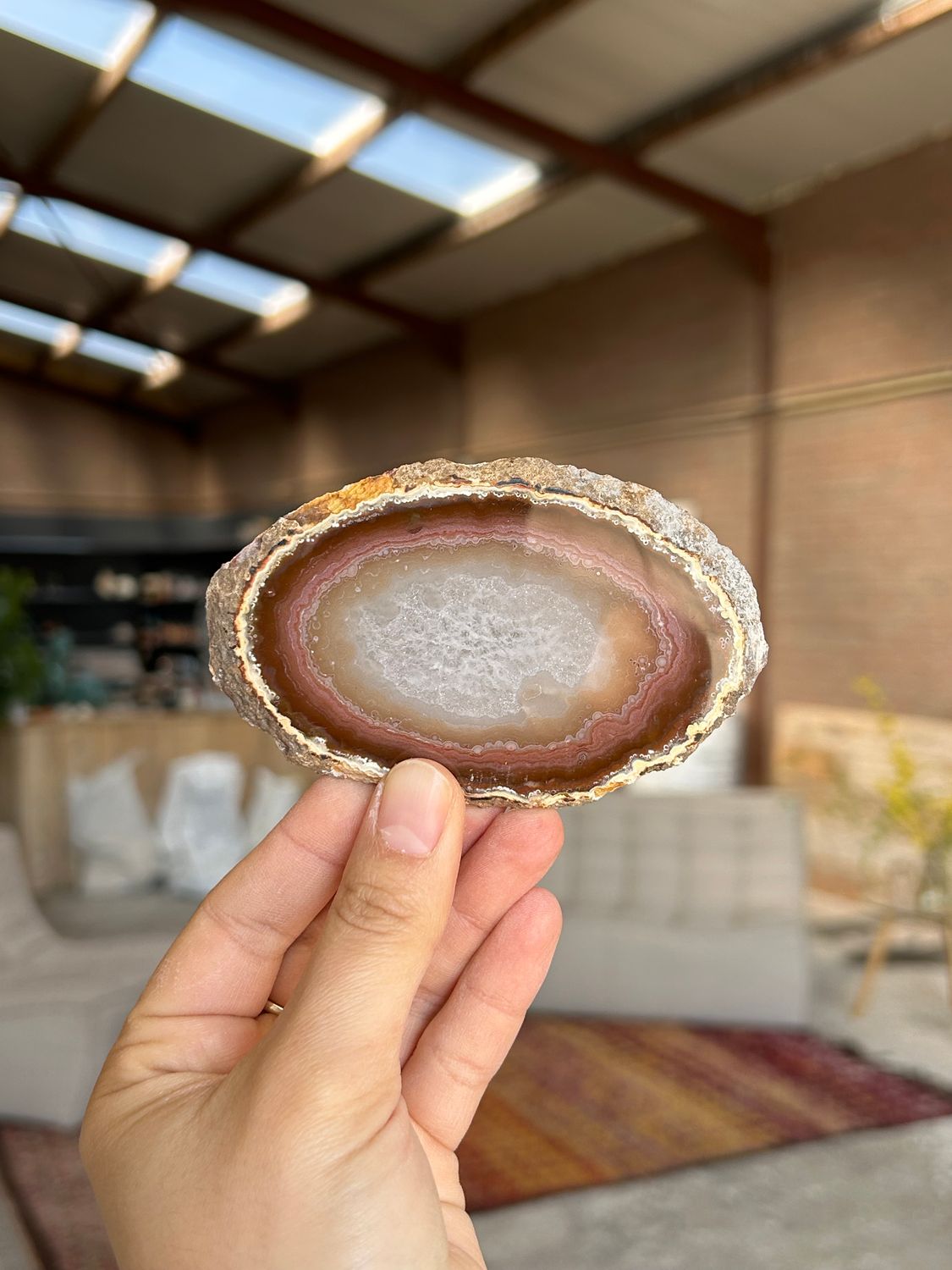 Agaat schijf Agaat schijf