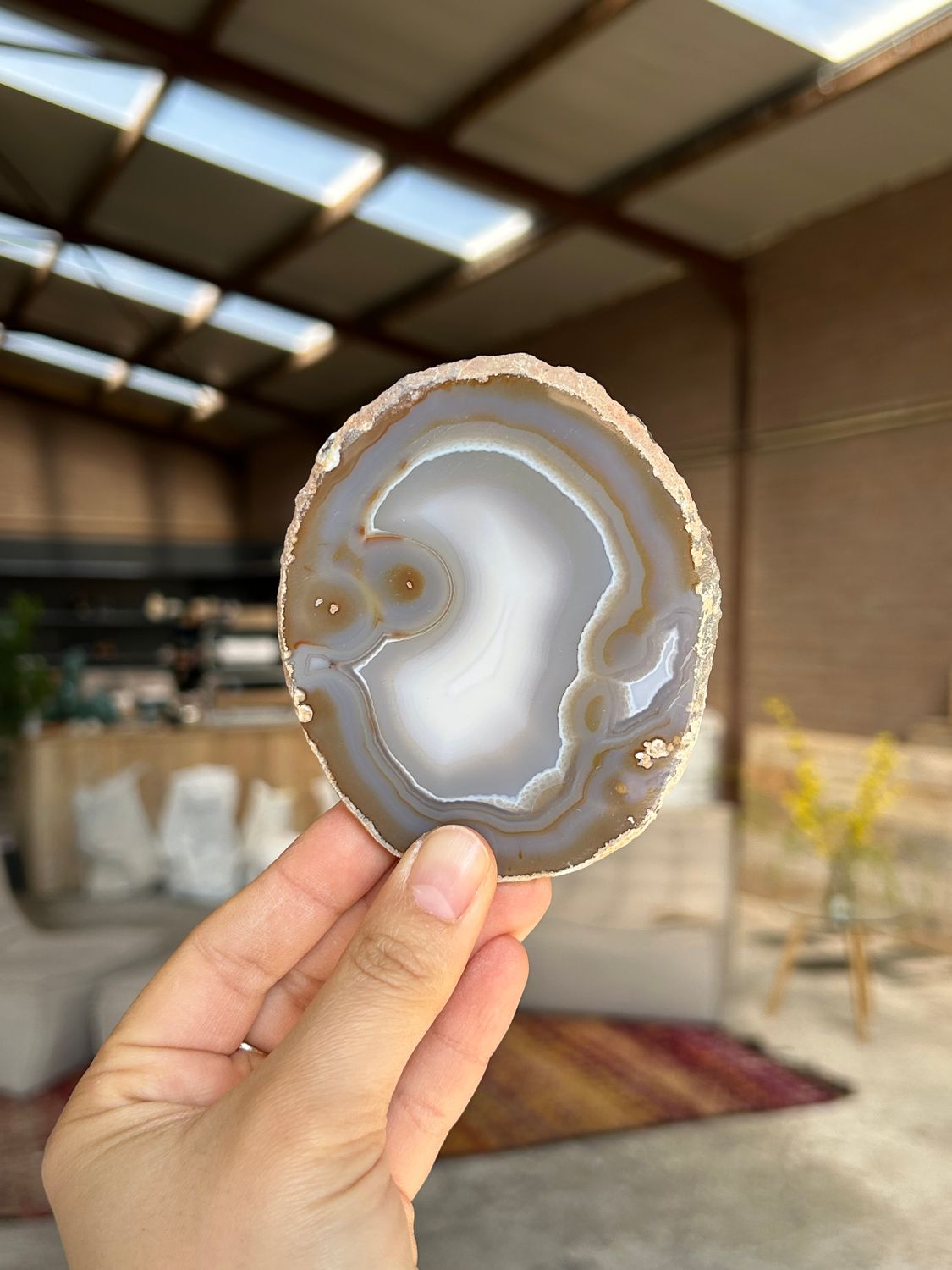 Agaat schijf Agaat schijf