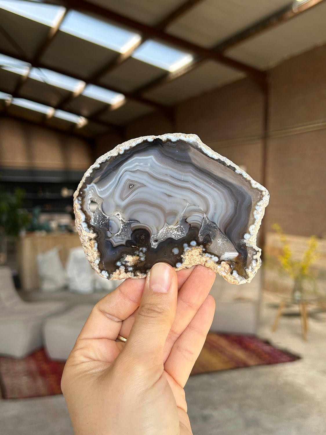 Agaat schijf Agaat schijf