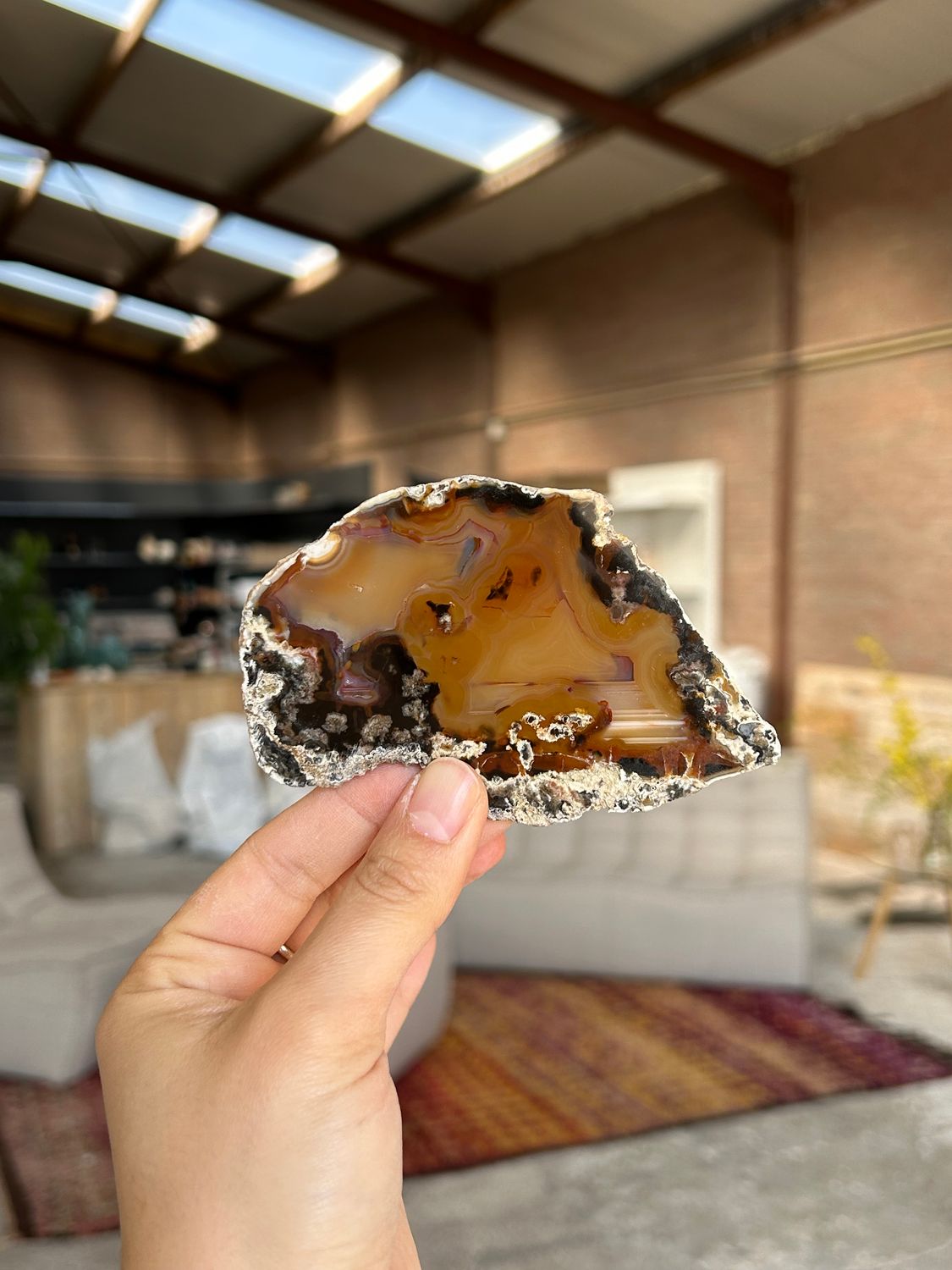 Agaat schijf Agaat schijf