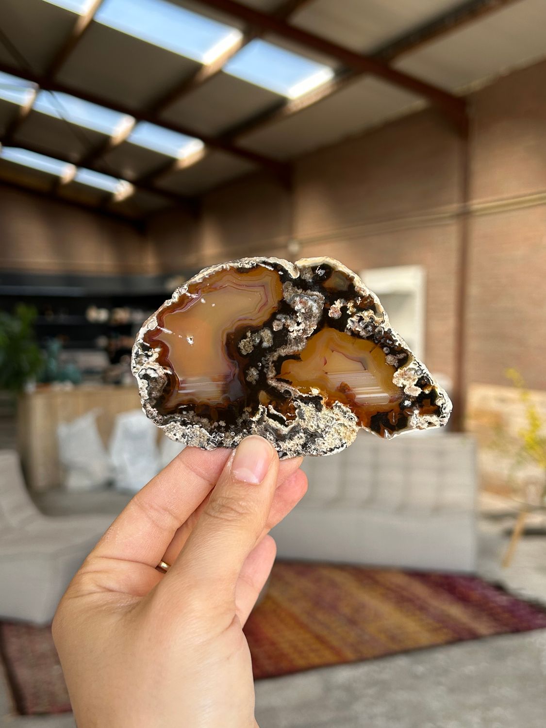 Agaat schijf Agaat schijf