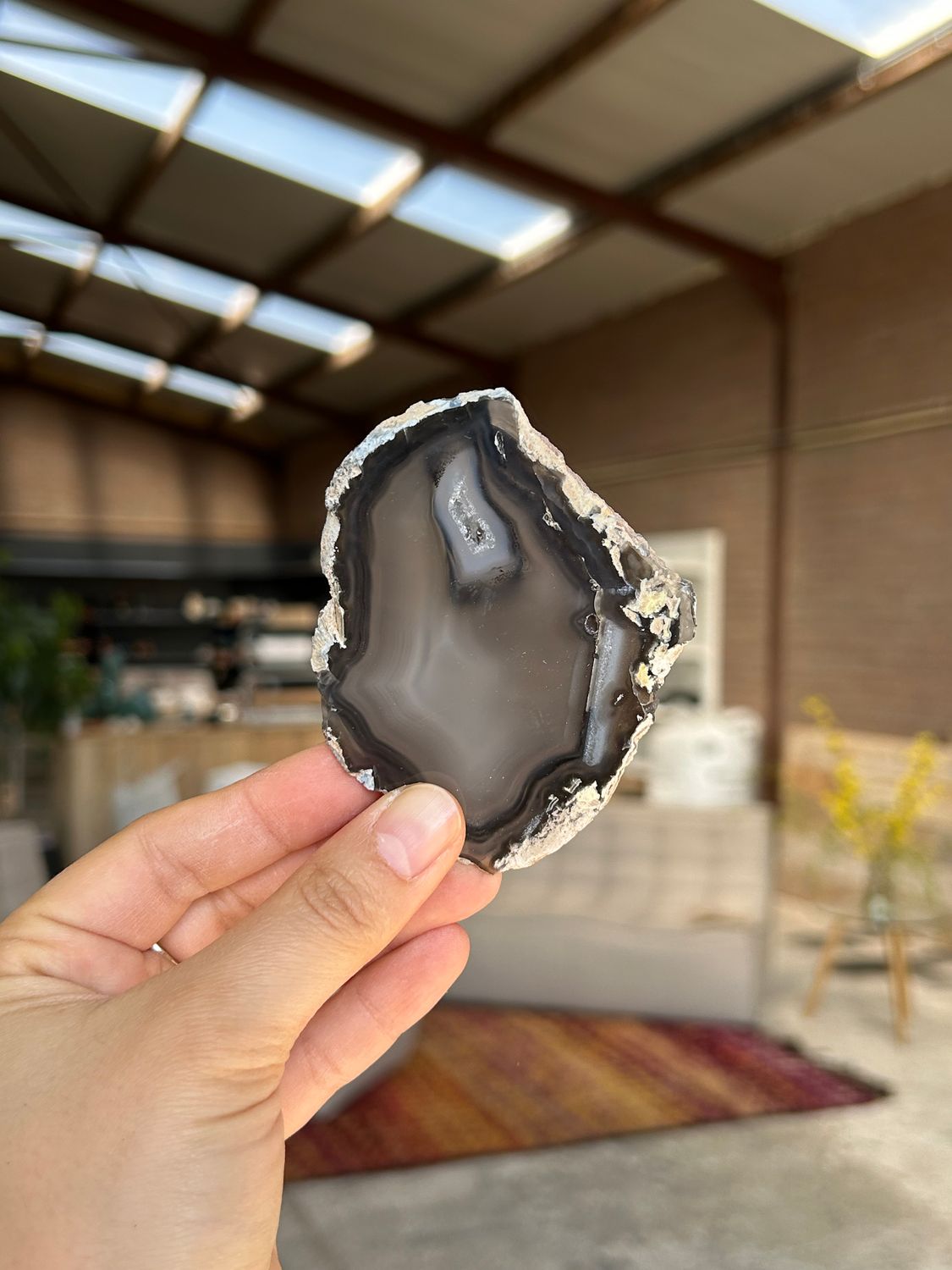 Agaat schijf Agaat schijf