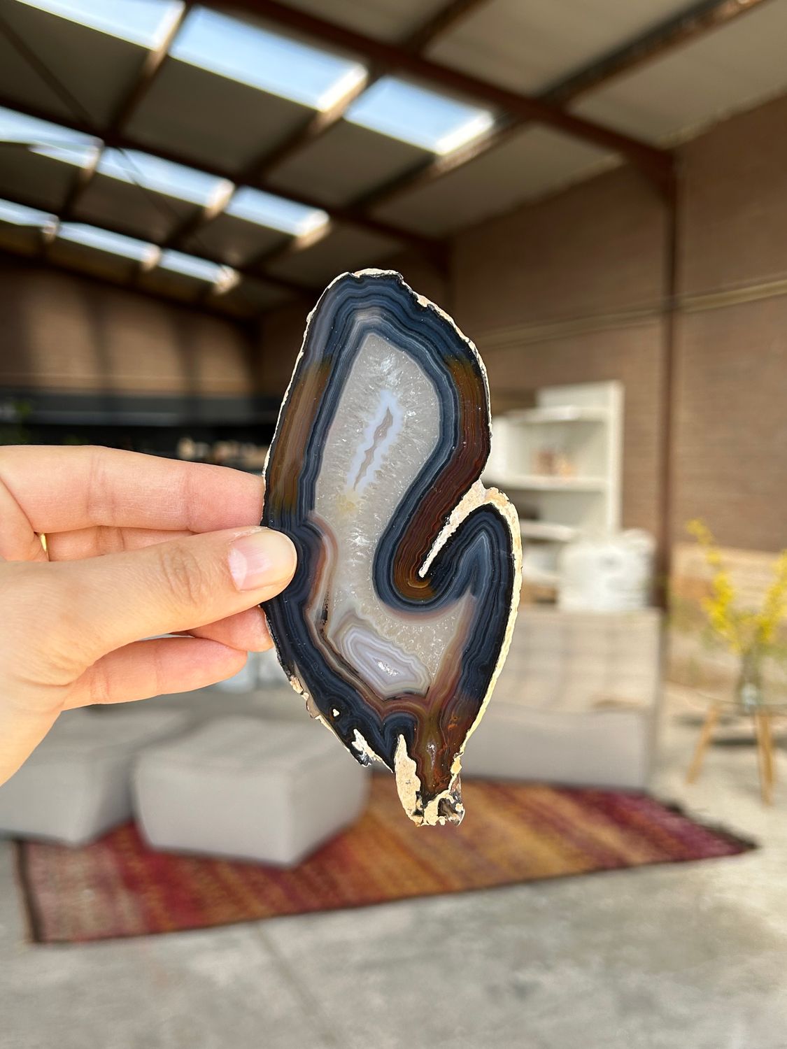 Agaat schijf Agaat schijf