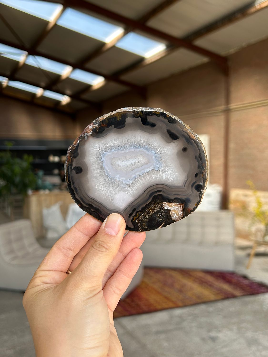 Agaat schijf Agaat schijf