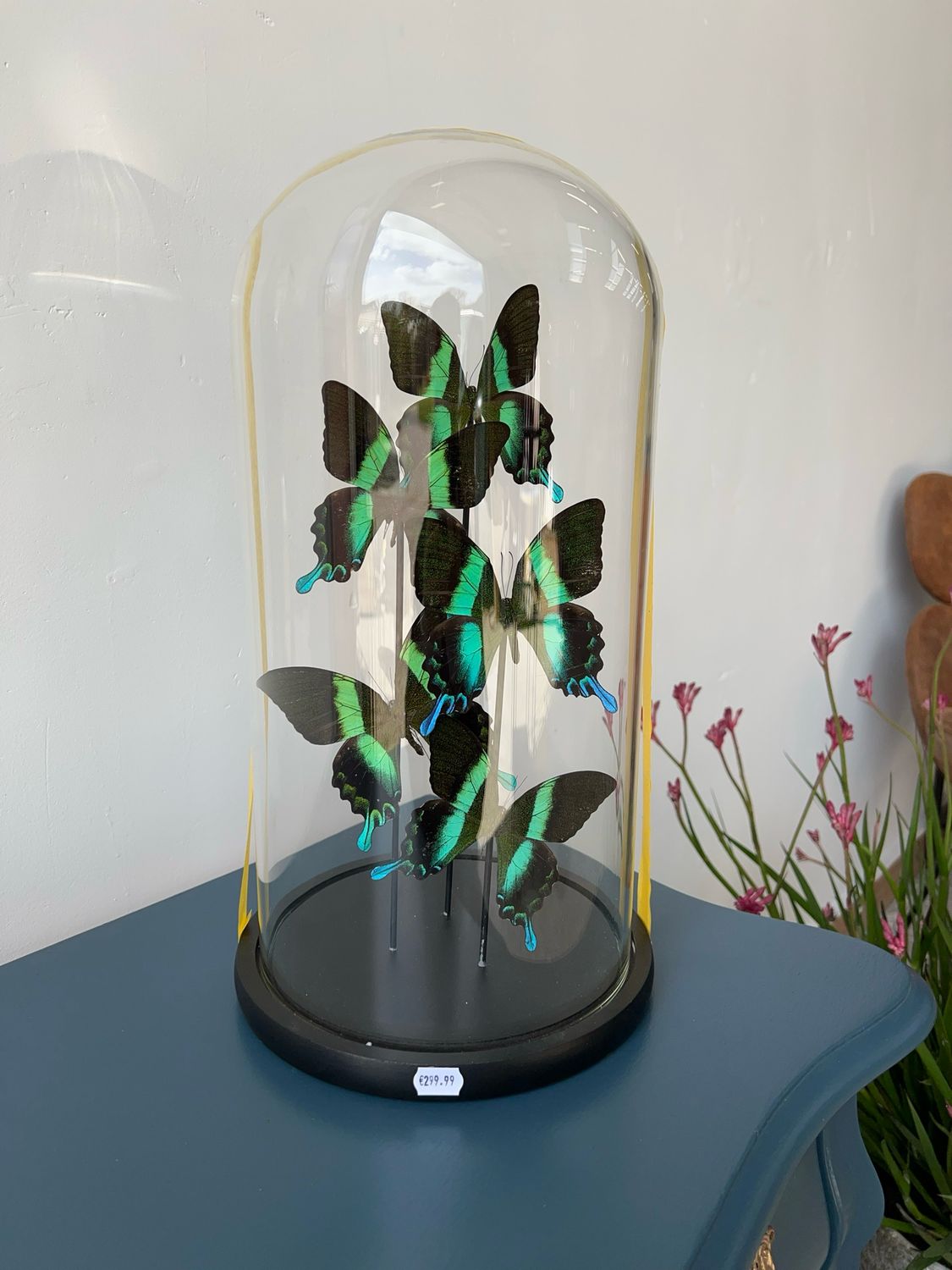 Vlinders in stolp (mega)