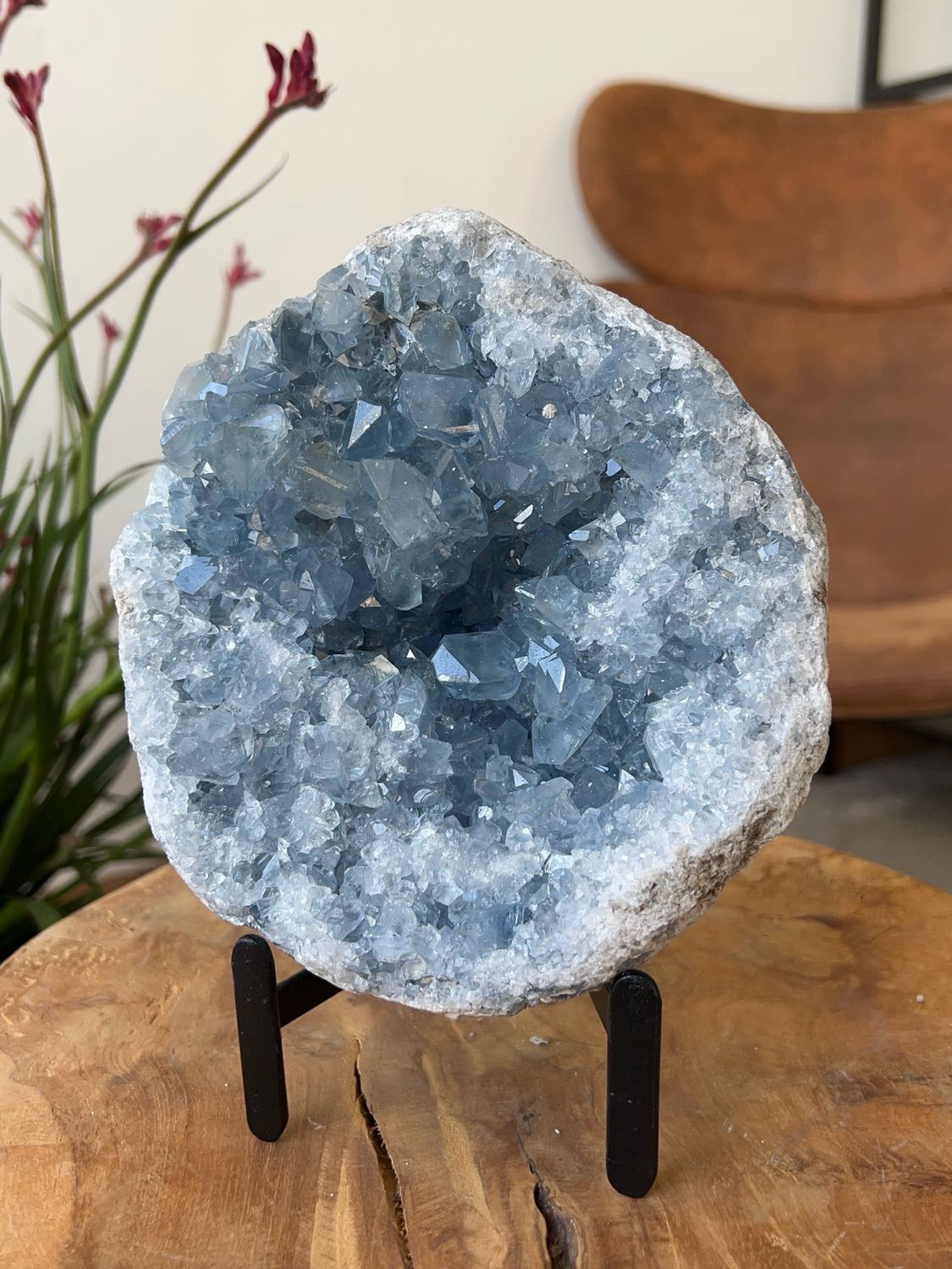 Grote blauwe celestien + luxe zwarte standaard