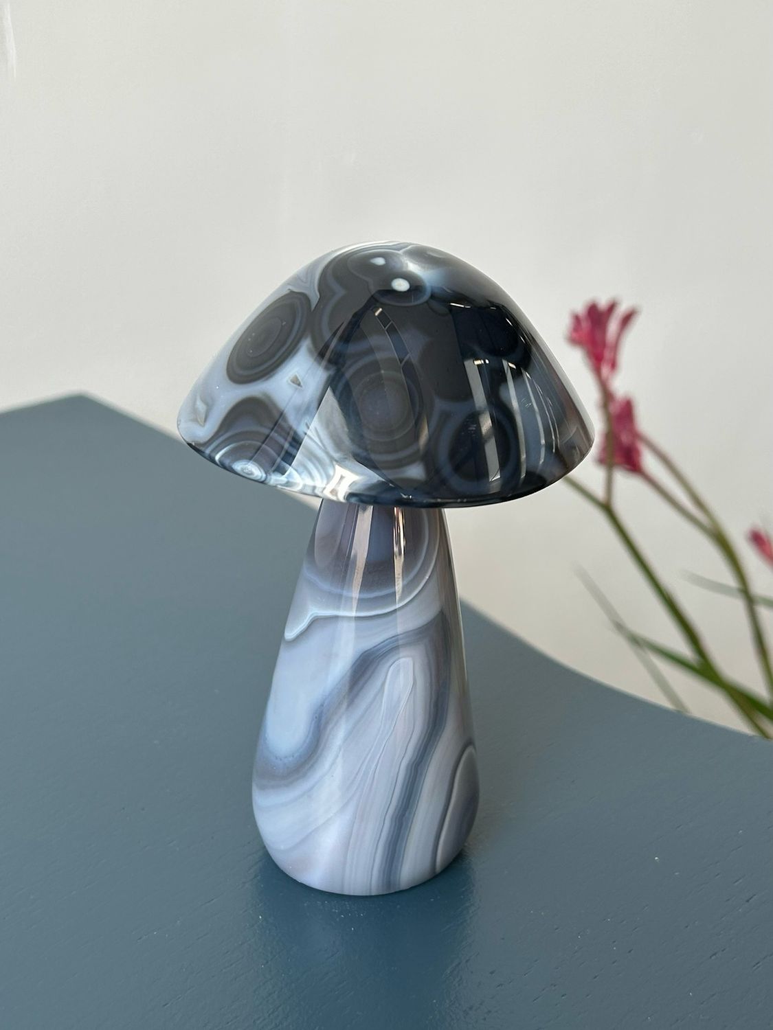 Grote agaat paddenstoel