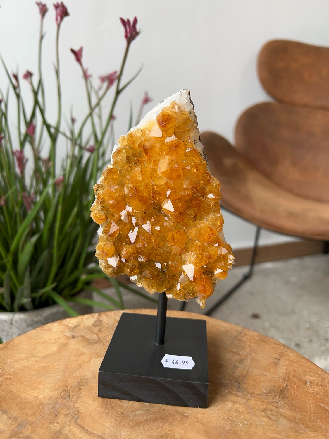 Citrien op standaard (verhit)