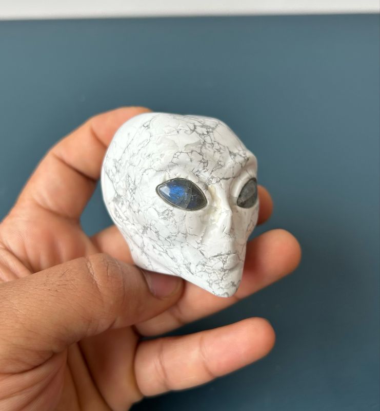 Howliet alien carving met labradoriet ogen Howliet alien carving met labradoriet ogen