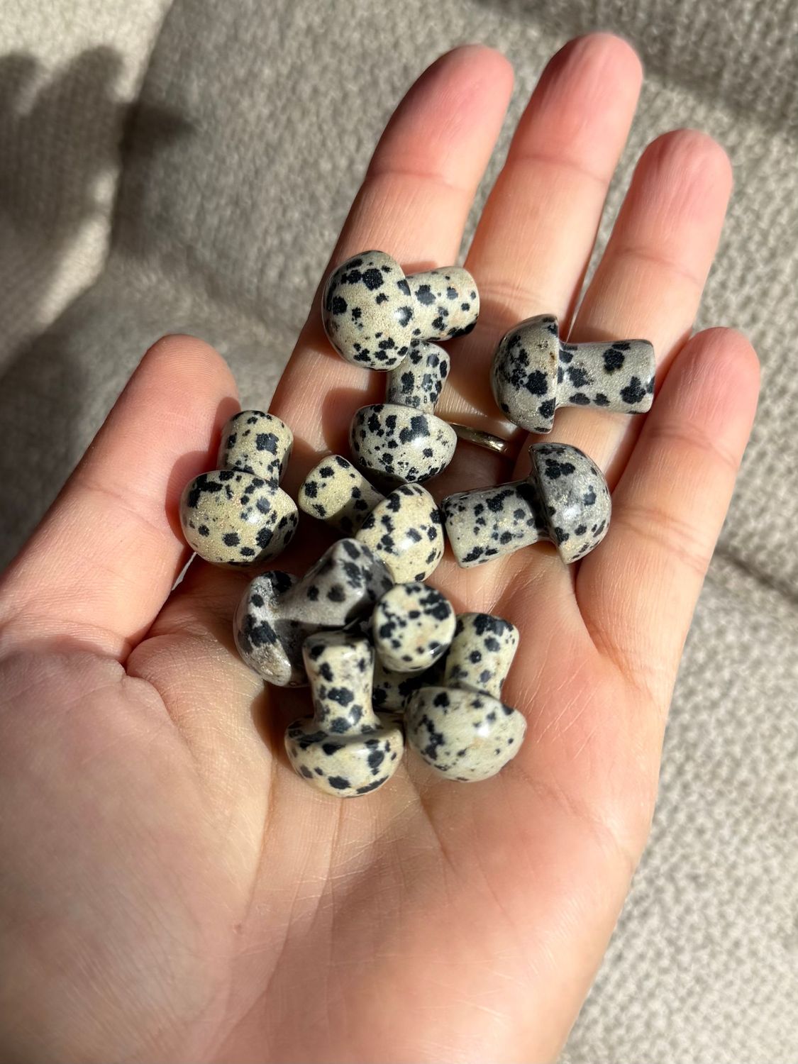 Dalmatiër Jaspis paddenstoeltje (creativiteit, tegen negatieve energie en straling) Dalmatiër Jaspis paddenstoeltje (creativiteit, tegen negatieve energie en straling)