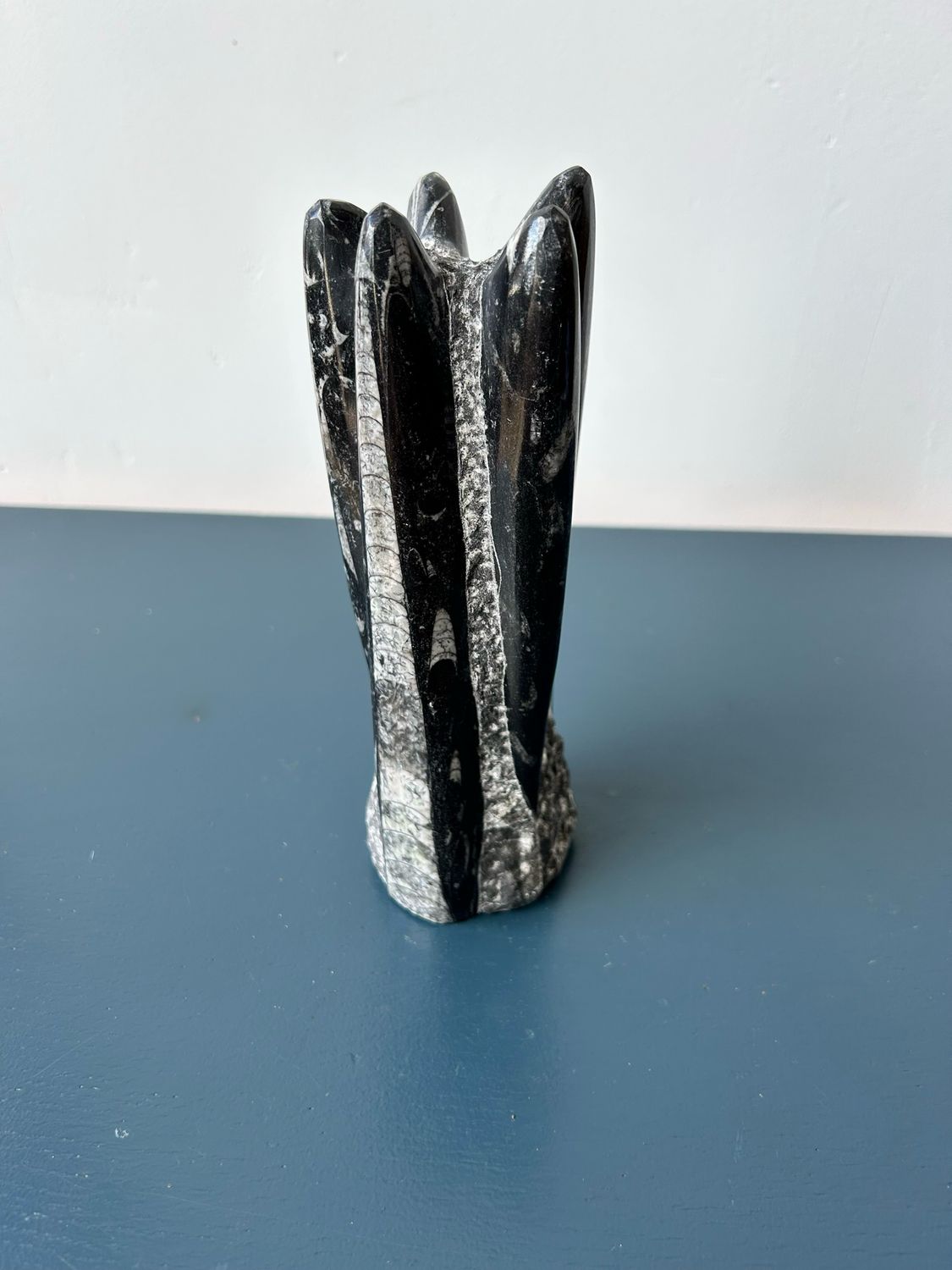 183. Orthoceras op standvalk 183. Orthoceras op standvalk