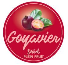 GOYAVIER
