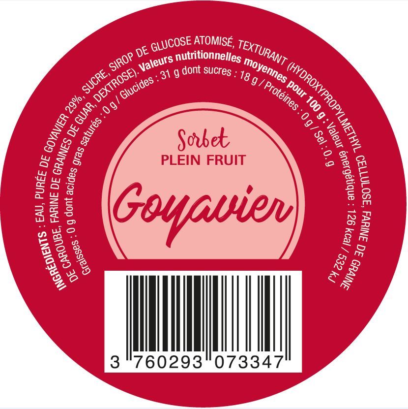 SORBET GOYAVIER (x24)