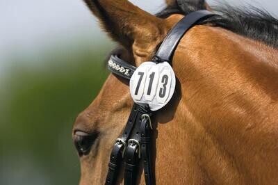 Zilco Competition Bridle Number Set
