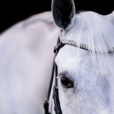 Lumiere Browband