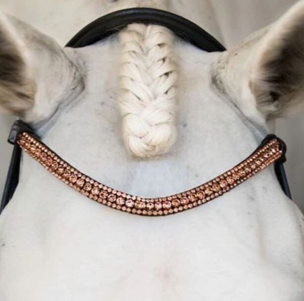 Lumiere Browband