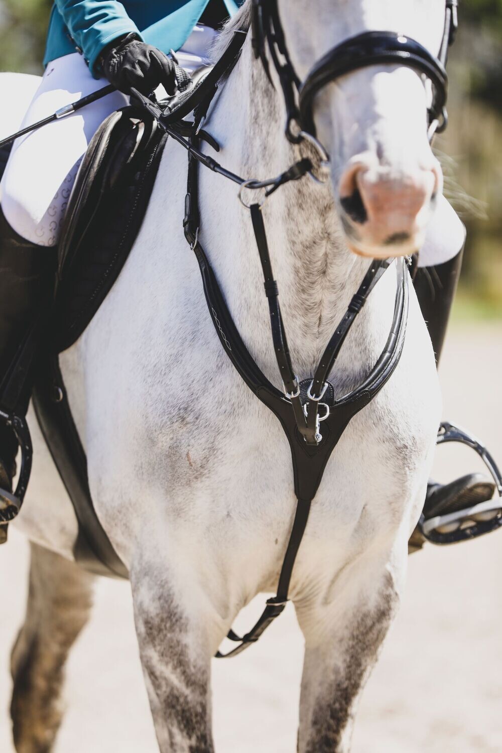 Lumiere Victory 3 Point Breastplate