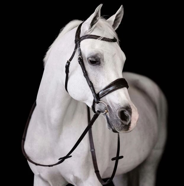 Lumiere Mikayla Convertible Bridle, Colour: Black, Size: Pony