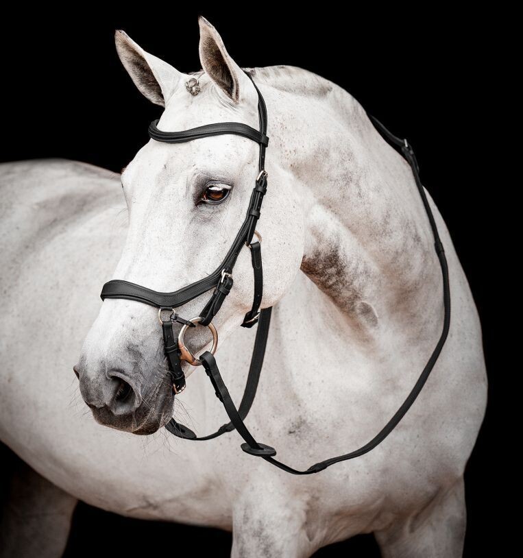 Horseware Micklem II Competition Bridle, Colour: Black, Size: Small Horse/Cob