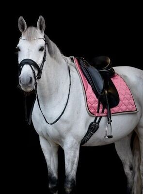 PS of Sweden SS24 Heart Dressage Pad