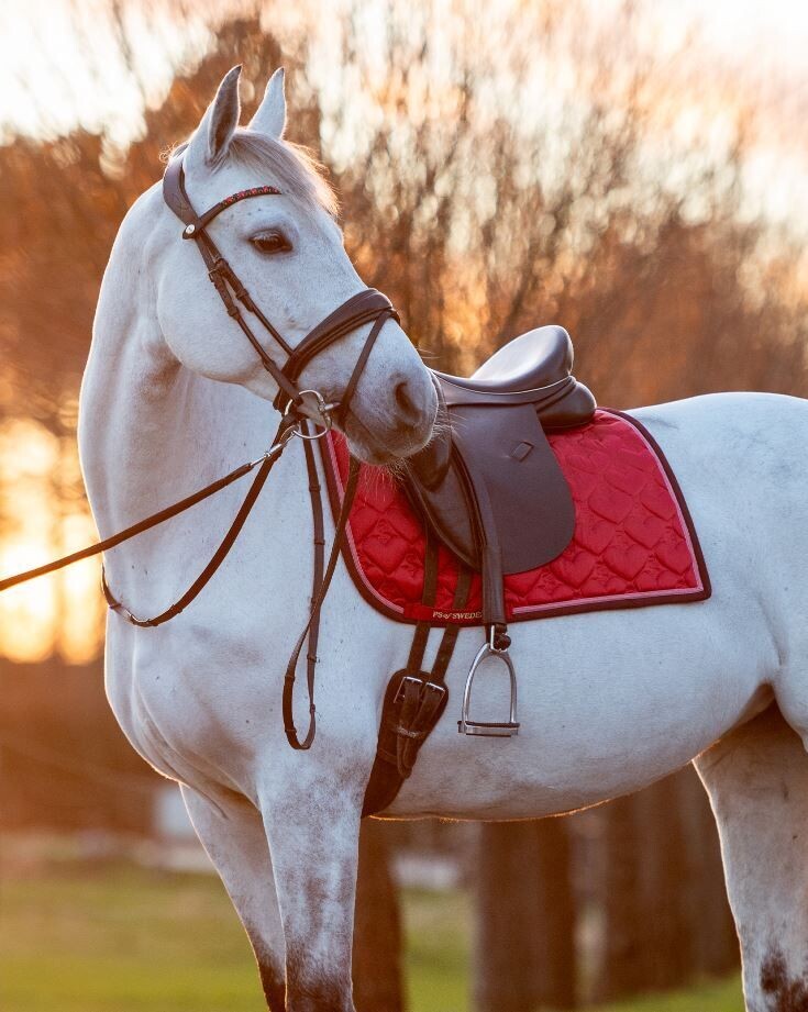 PS of Sweden SS24 Heart Dressage Pad, Colour: Red Heart