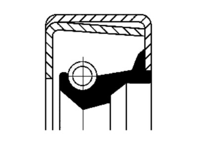 B2