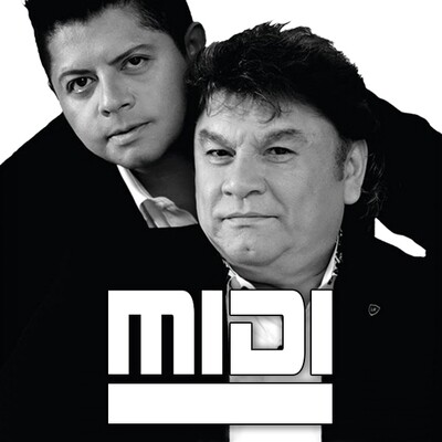 Se Hubiera Ido Sola