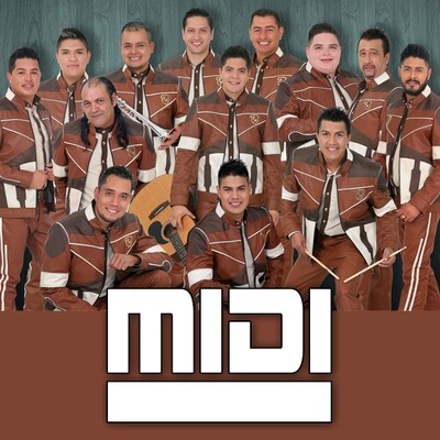 Ven Tú