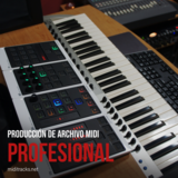 Professional MIDI File Custom Production