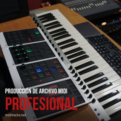 Producción de Archivo MIDI - Profesional