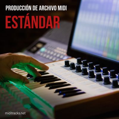 Custom Musical Production &amp; MIDI Sequencing (Standard Service)