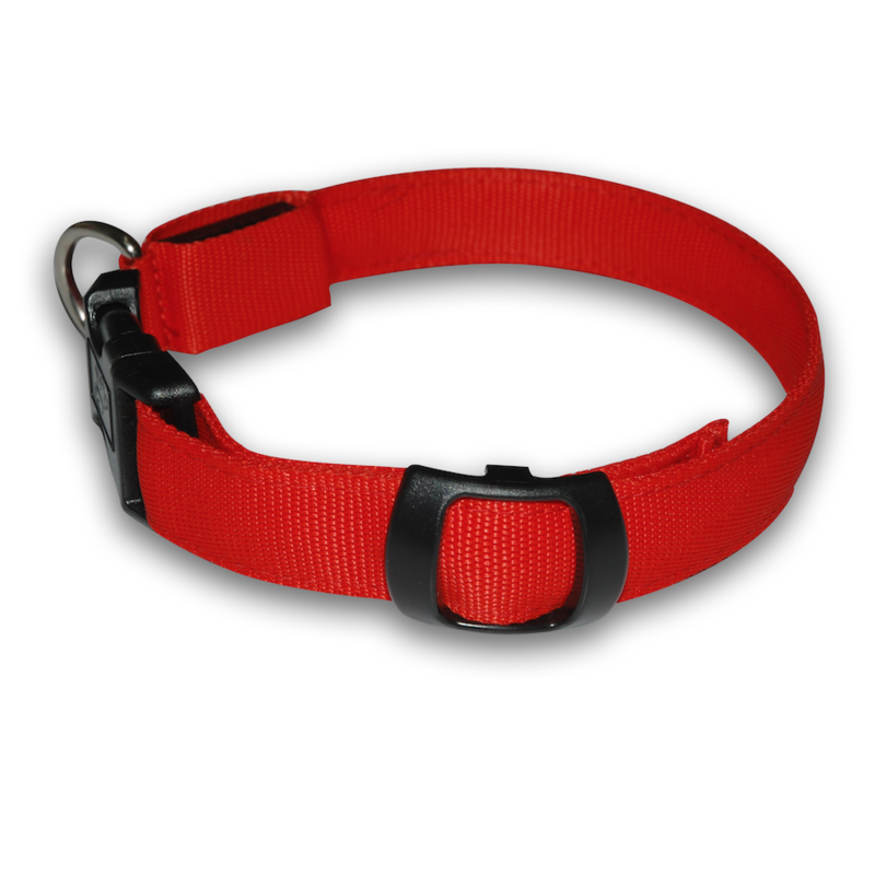 Collar LED con luz roja